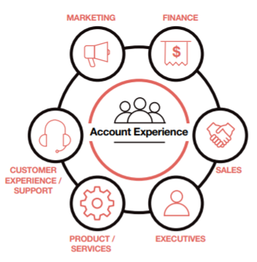 Account Experience Account Experience