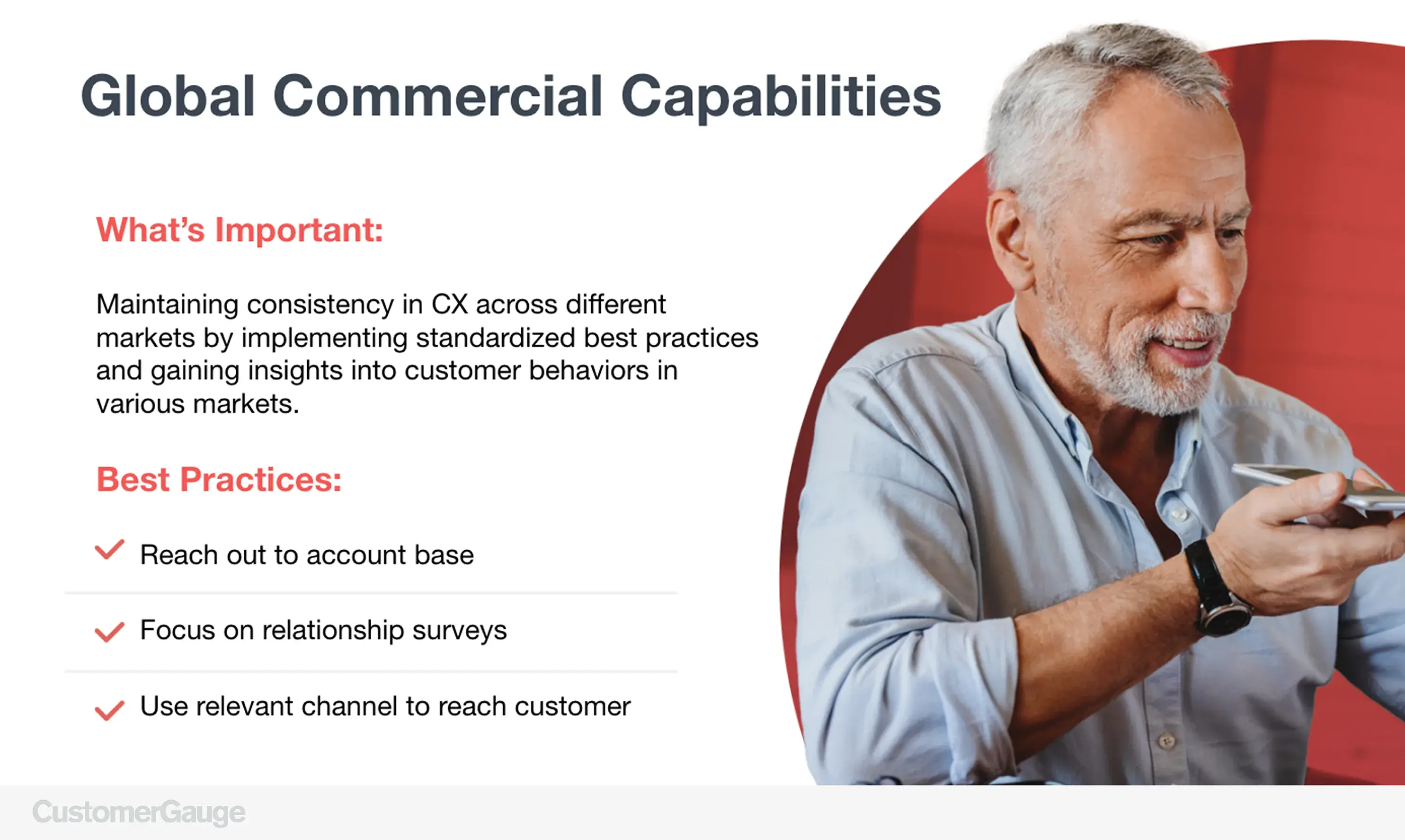 Global Commercial Capabilities Director