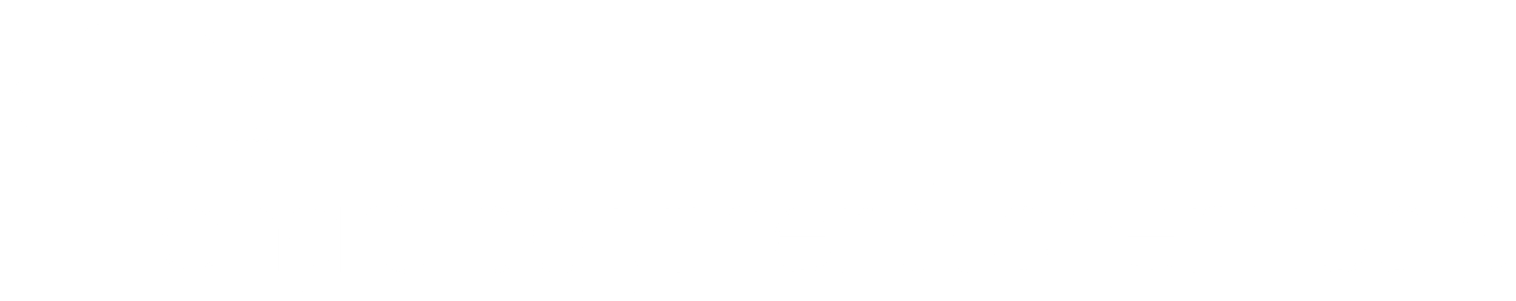 Engro polymer chemicals logo white