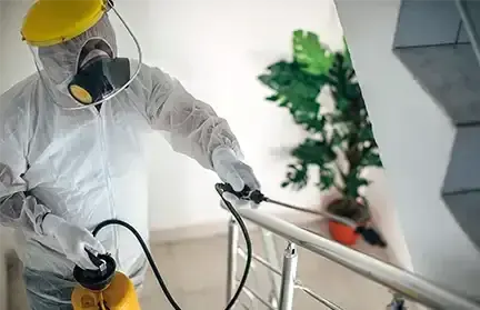 Rentokil Industry Page Cover